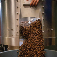 roaster releasing freshly roasted beans text roasters choice
